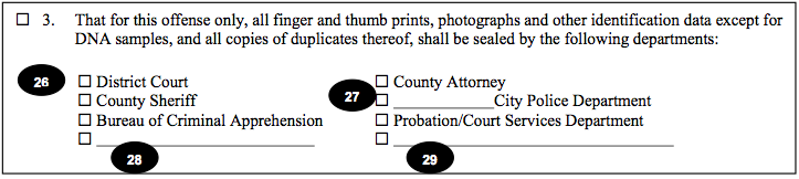 Minnesota Expungement Petition