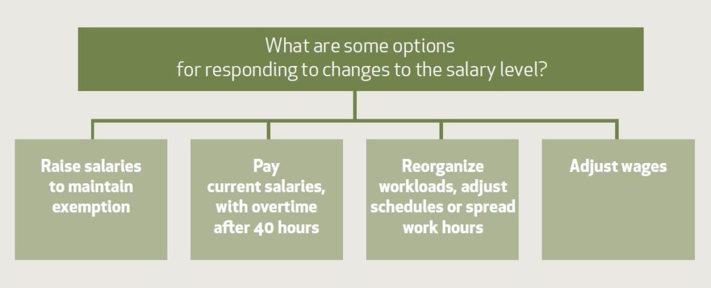 options-for-compliance